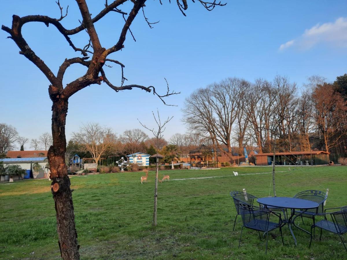 Zonhoven B&B Casa Roman & Vakantiewoning Voor 1 Pers Tot Max 32 Personen المظهر الخارجي الصورة
