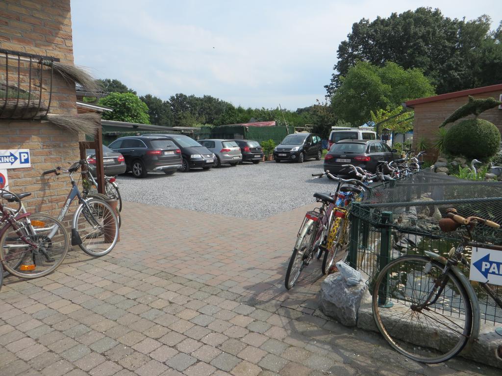 Zonhoven B&B Casa Roman & Vakantiewoning Voor 1 Pers Tot Max 32 Personen المظهر الخارجي الصورة